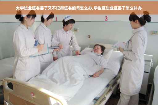 大学毕业证书丢了又不记得证书编号怎么办,学生证毕业证丢了怎么补办