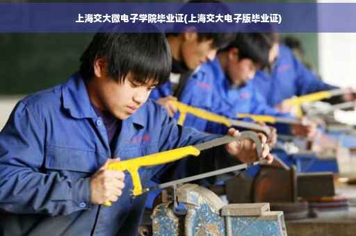 上海交大微电子学院毕业证(上海交大电子版毕业证)