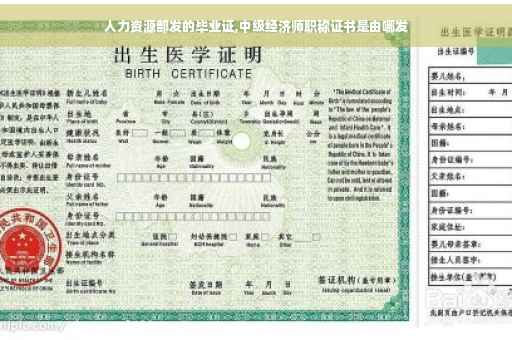 人力资源部发的毕业证,中级经济师职称证书是由哪发