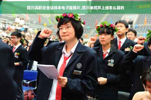 四川高职毕业证样本电子版图片,四川单招双上线怎么算的