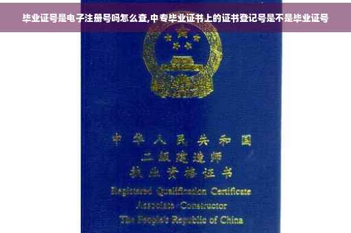 毕业证号是电子注册号吗怎么查,中专毕业证书上的证书登记号是不是毕业证号