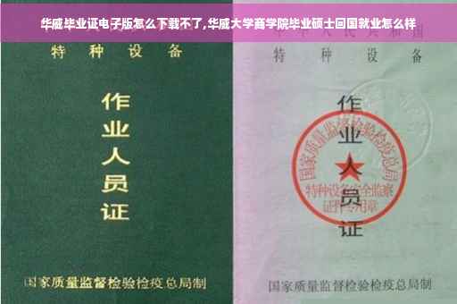 华威毕业证电子版怎么下载不了,华威大学商学院毕业硕士回国就业怎么样