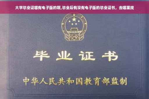 大学毕业证哪有电子版的啊,毕业后有没有电子版的毕业证书，去哪里找