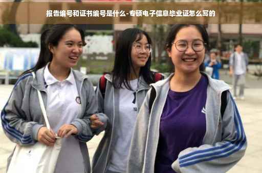 报告编号和证书编号是什么-专硕电子信息毕业证怎么写的
