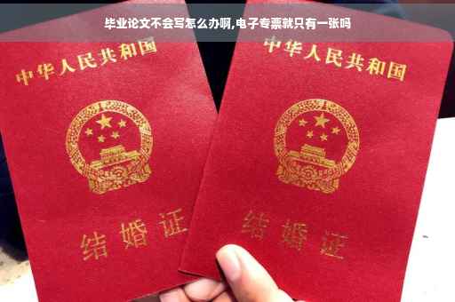 毕业论文不会写怎么办啊,电子专票就只有一张吗