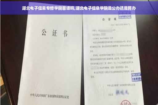 湖北电子信息专修学院靠谱吗,湖北电子信息学院是公办还是民办