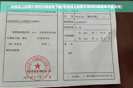 毕业证上的照片如何扫描成电子版(毕业证上的照片如何扫描成电子版文件)