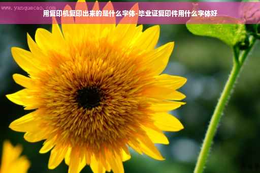 用复印机复印出来的是什么字体-毕业证复印件用什么字体好