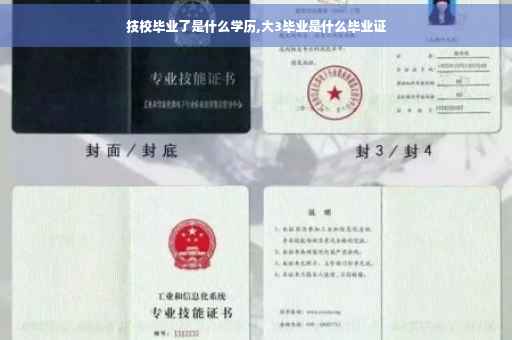 技校毕业了是什么学历,大3毕业是什么毕业证
