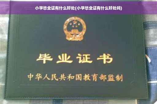小学毕业证有什么好处(小学毕业证有什么好处吗)