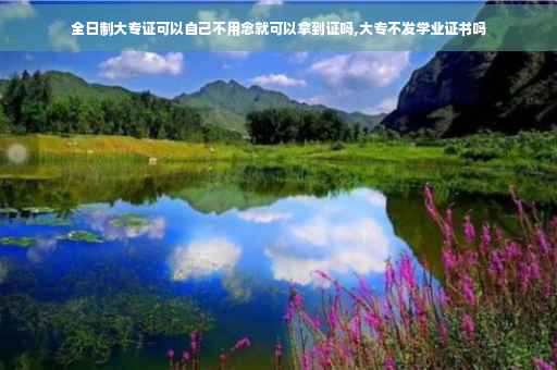 全日制大专证可以自己不用念就可以拿到证吗,大专不发学业证书吗