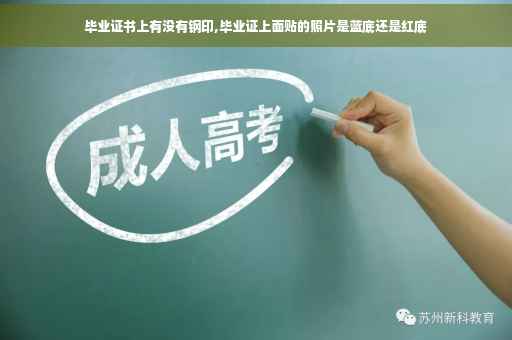 毕业证书上有没有钢印,毕业证上面贴的照片是蓝底还是红底