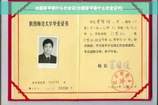 出国留学要什么毕业证(出国留学要什么毕业证书)