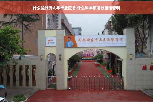 什么是分流大学毕业证书,什么叫本硕博分流培养啊