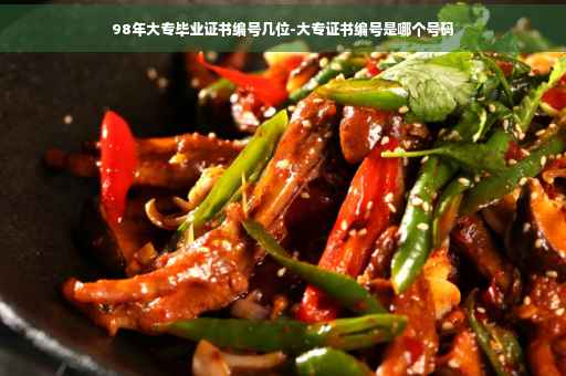 98年大专毕业证书编号几位-大专证书编号是哪个号码