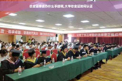 毕业证拿去办什么手续呢,大学毕业证如何认证