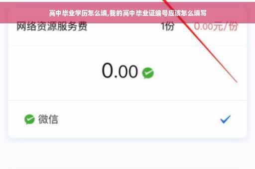 高中毕业学历怎么填,我的高中毕业证编号应该怎么填写