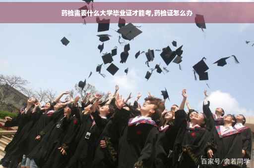 药检需要什么大学毕业证才能考,药检证怎么办