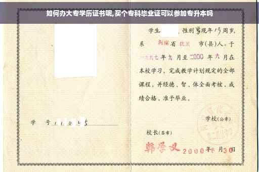 如何办大专学历证书呢,买个专科毕业证可以参加专升本吗