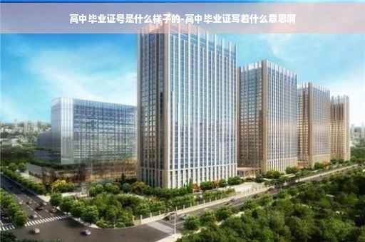 高中毕业证号是什么样子的-高中毕业证写着什么意思啊