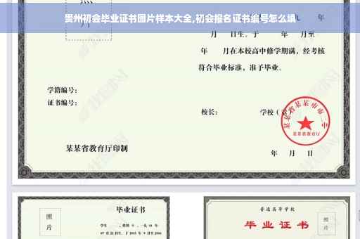 贵州初会毕业证书图片样本大全,初会报名证书编号怎么填