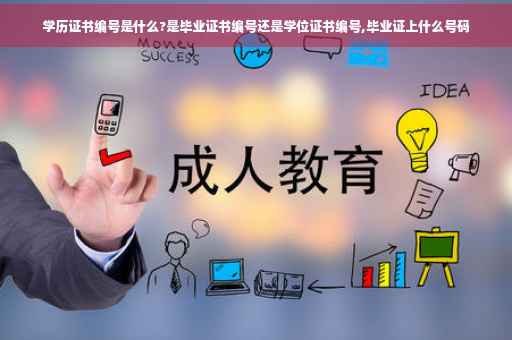 学历证书编号是什么?是毕业证书编号还是学位证书编号,毕业证上什么号码