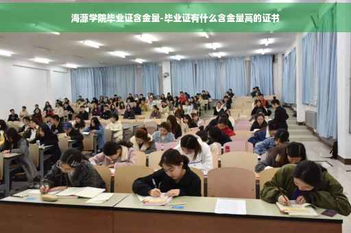 海源学院毕业证含金量-毕业证有什么含金量高的证书