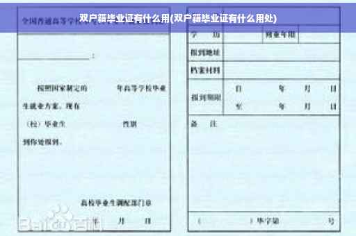 双户籍毕业证有什么用(双户籍毕业证有什么用处)