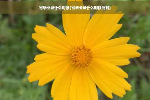 寄毕业证什么时候(寄毕业证什么时候寄到)