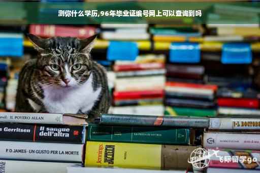 测你什么学历,96年毕业证编号网上可以查询到吗