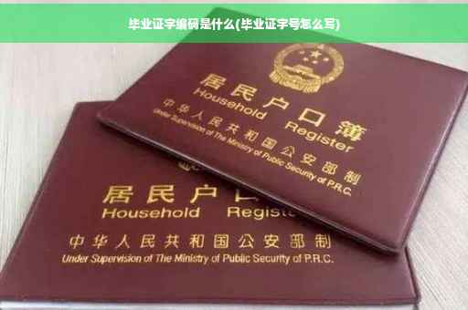 毕业证字编码是什么(毕业证字号怎么写)