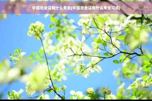 中技毕业证有什么专业(中技毕业证有什么专业可选)