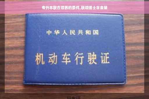 专升本联合培养的条件,联培博士含金量