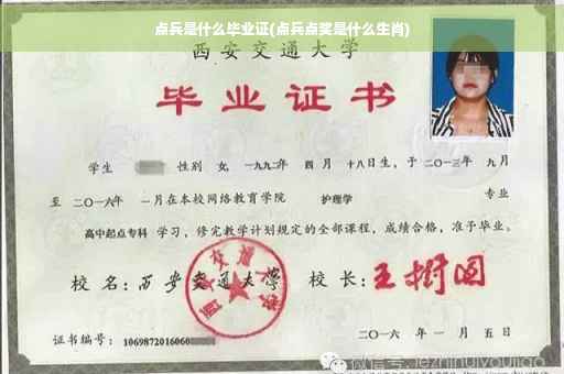 点兵是什么毕业证(点兵点奖是什么生肖)