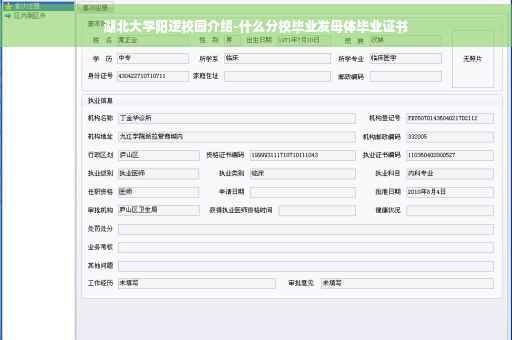湖北大学阳逻校园介绍-什么分校毕业发母体毕业证书