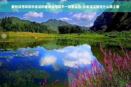 身份证号码和毕业证的身份证号码不一致怎么办-毕业证证明在什么网上查