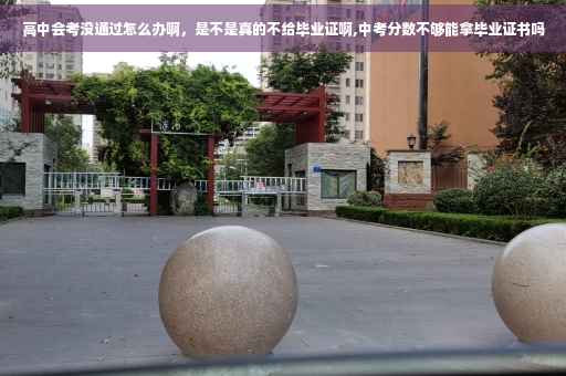 高中会考没通过怎么办啊，是不是真的不给毕业证啊,中考分数不够能拿毕业证书吗