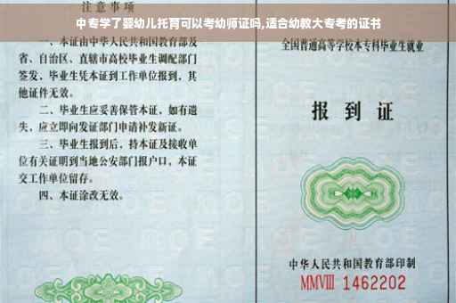 中专学了婴幼儿托育可以考幼师证吗,适合幼教大专考的证书