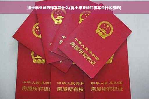 博士毕业证的样本是什么(博士毕业证的样本是什么样的)