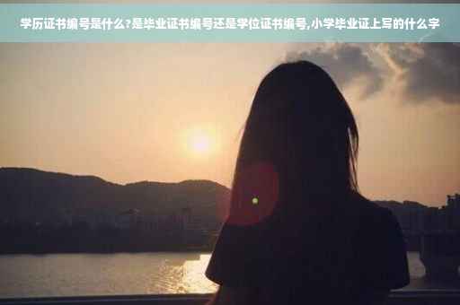 学历证书编号是什么?是毕业证书编号还是学位证书编号,小学毕业证上写的什么字