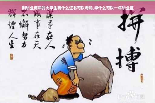 刚毕业两年的大学生有什么证书可以考吗,学什么可以一年毕业证