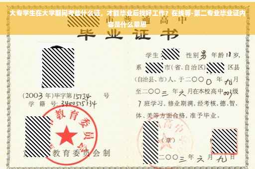 大专学生在大学期间考些什么证，才能毕业后找好工作？在线等-第二专业毕业证内容是什么意思