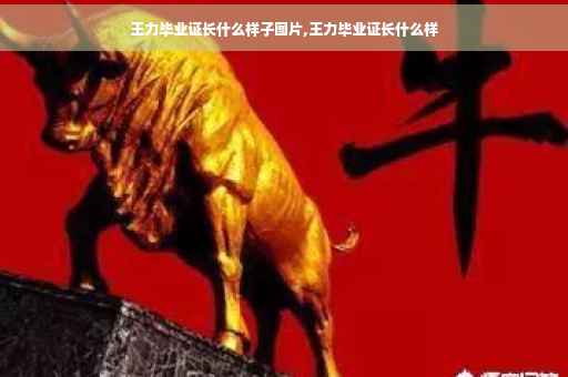 王力毕业证长什么样子图片,王力毕业证长什么样