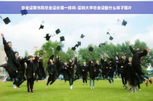 毕业证明书和毕业证长得一样吗-深圳大学毕业证像什么样子图片