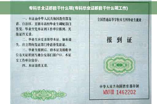 专科毕业证都能干什么呢(专科毕业证都能干什么呢工作)