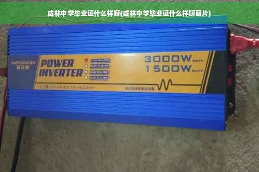 咸林中学毕业证什么样呀(咸林中学毕业证什么样呀图片)