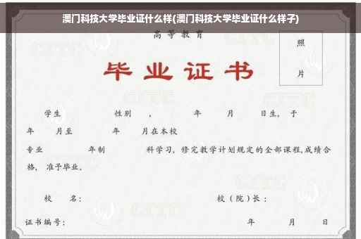 澳门科技大学毕业证什么样(澳门科技大学毕业证什么样子)