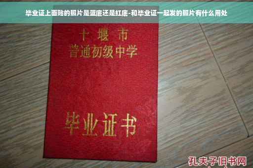 毕业证上面贴的照片是蓝底还是红底-和毕业证一起发的照片有什么用处