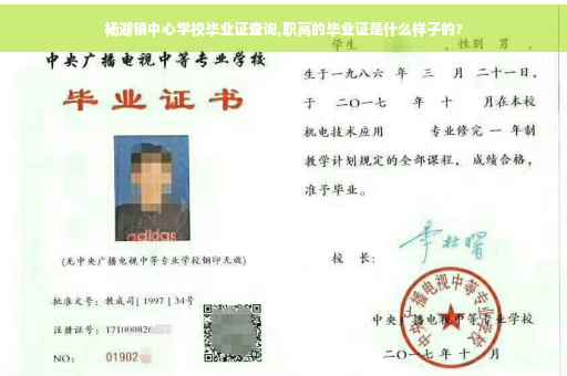 颜色的?高中毕业证证书编号在哪个位置?一、学校发的毕业证是什么样子的,