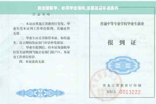 到法国留学，必须学法语吗,法国签证申请条件